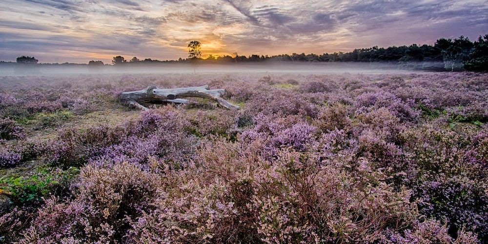 Wat kost een uitvaart? | Eerlijke Uitvaarten